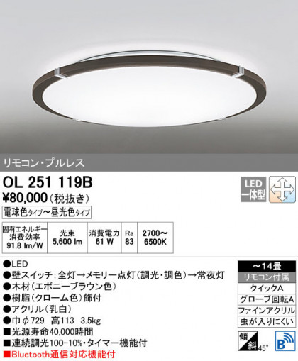 ODELIC ǥå 󥰥饤 OL251119B ñʲ