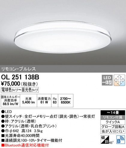 ODELIC ǥå 󥰥饤 OL251138B ñʲ