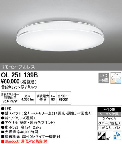 ODELIC ǥå 󥰥饤 OL251139B ñʲ
