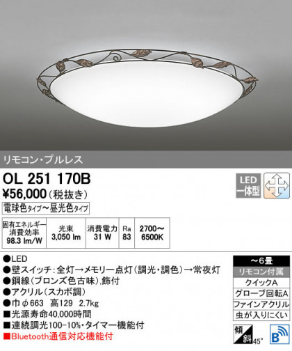 ODELIC ǥå 󥰥饤 OL251170B ñʲ
