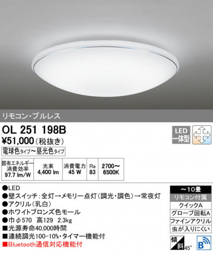 ODELIC ǥå 󥰥饤 OL251198B ñʲ