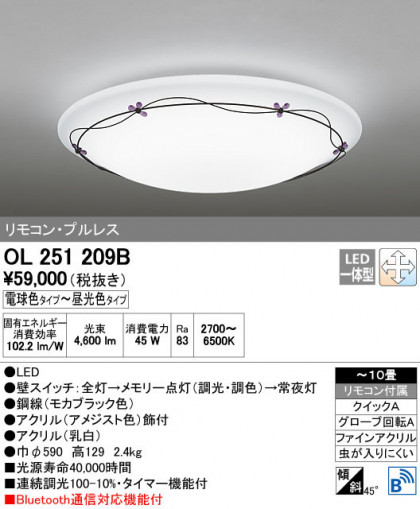 ODELIC ǥå 󥰥饤 OL251209B ñʲ