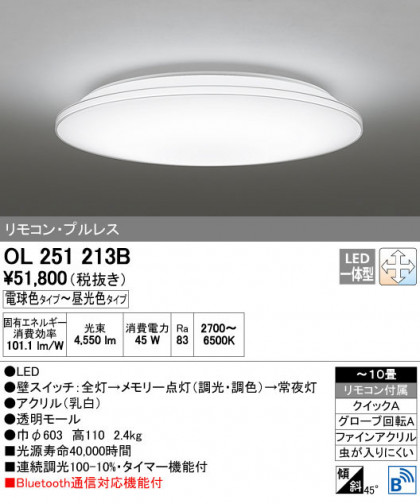 ODELIC ǥå 󥰥饤 OL251213B ñʲ