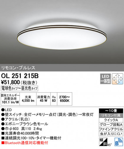 ODELIC ǥå 󥰥饤 OL251215B ñʲ