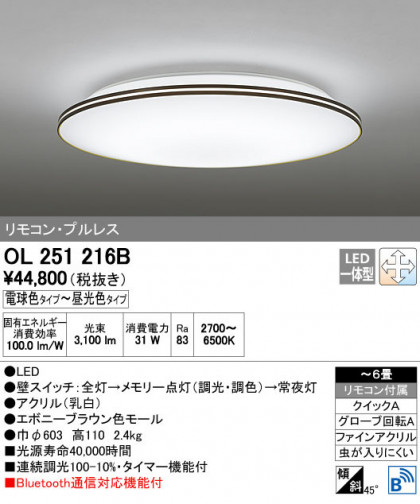 ODELIC ǥå 󥰥饤 OL251216B ñʲ