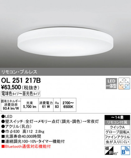 ODELIC ǥå 󥰥饤 OL251217B ñʲ