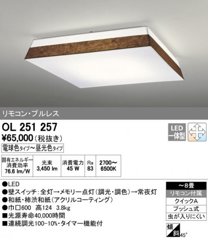 ODELIC ǥå 󥰥饤 OL251257 ñʲ