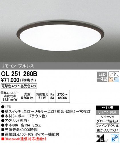 ODELIC ǥå 󥰥饤 OL251260B ñʲ