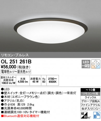 ODELIC ǥå 󥰥饤 OL251261B ñʲ