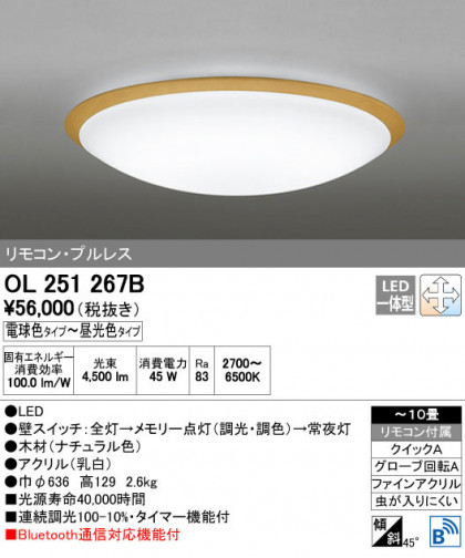 ODELIC ǥå 󥰥饤 OL251267B ñʲ