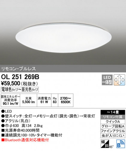 ODELIC ǥå 󥰥饤 OL251269B ñʲ