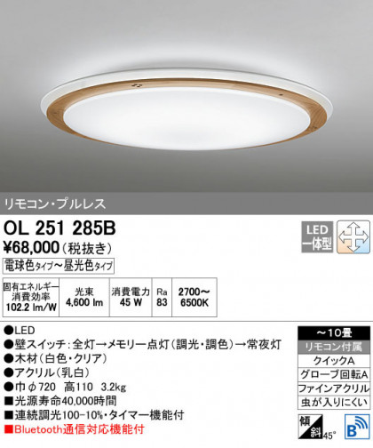 ODELIC ǥå 󥰥饤 OL251285B ñʲ