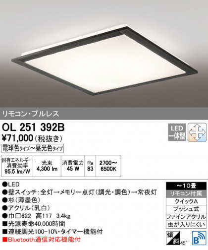 ODELIC ǥå 󥰥饤 OL251392B ñʲ