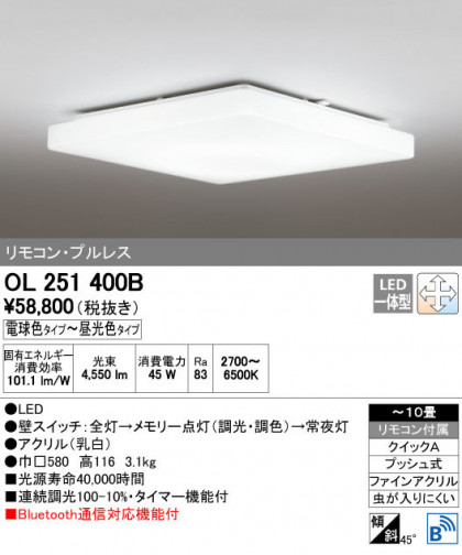 ODELIC ǥå 󥰥饤 OL251400B ñʲ