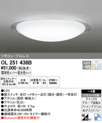 ODELIC ǥå 󥰥饤 OL251438B ñʲ
