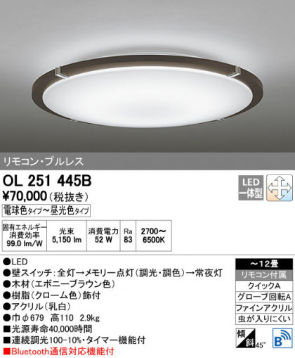 ODELIC ǥå 󥰥饤 OL251445B ñʲ