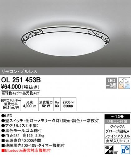 ODELIC ǥå 󥰥饤 OL251453B ñʲ