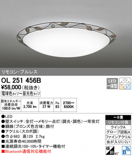 ODELIC ǥå 󥰥饤 OL251456B ñʲ