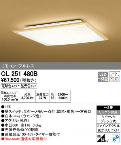 ODELIC ǥå 󥰥饤 OL251480B ñʲ