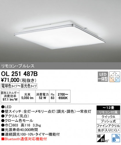 ODELIC ǥå 󥰥饤 OL251487B ñʲ
