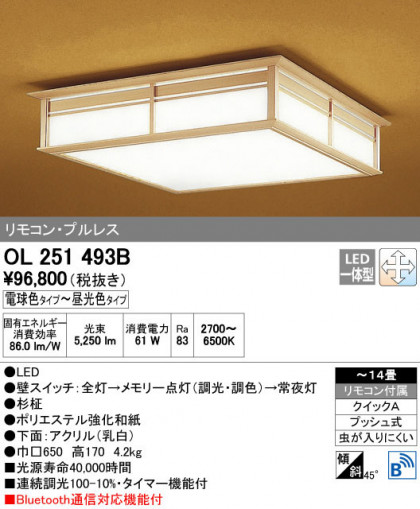 ODELIC ǥå 󥰥饤 OL251493B ñʲ