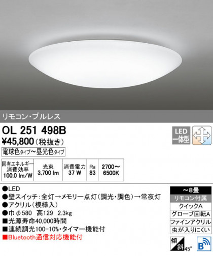 ODELIC ǥå 󥰥饤 OL251498B ñʲ