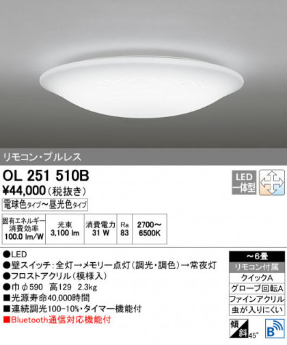 ODELIC ǥå 󥰥饤 OL251510B ñʲ