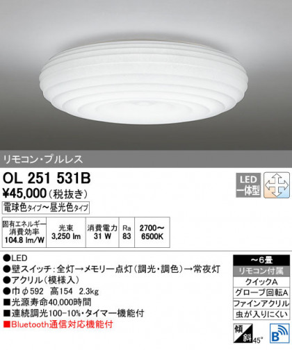 ODELIC ǥå 󥰥饤 OL251531B ñʲ