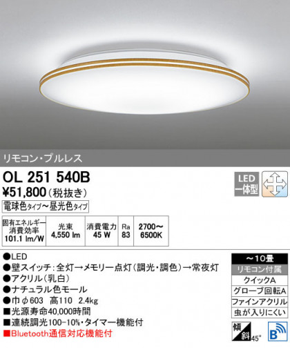 ODELIC ǥå 󥰥饤 OL251540B ñʲ
