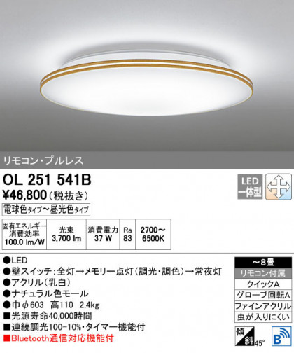ODELIC ǥå 󥰥饤 OL251541B ñʲ