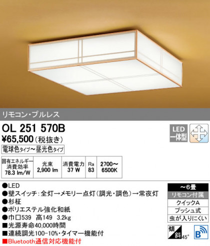 ODELIC ǥå 󥰥饤 OL251570B ñʲ