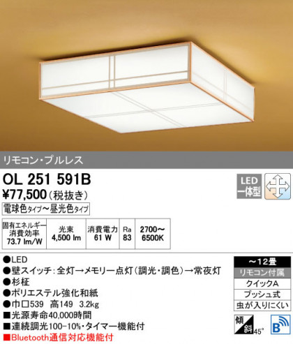 ODELIC ǥå 󥰥饤 OL251591B ñʲ