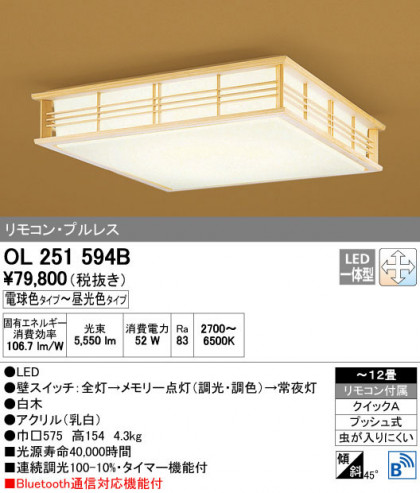 ODELIC ǥå 󥰥饤 OL251594B ñʲ