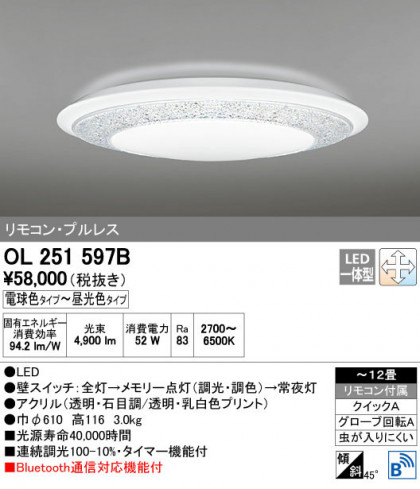 ODELIC ǥå 󥰥饤 OL251597B ñʲ