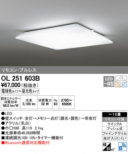 ODELIC ǥå 󥰥饤 OL251603B ñʲ