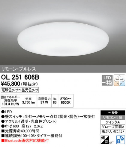 ODELIC ǥå 󥰥饤 OL251606B ñʲ