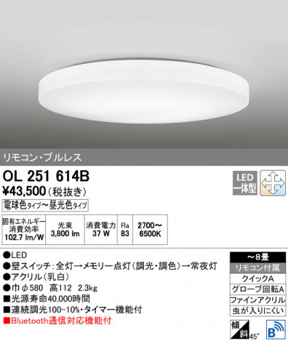 ODELIC ǥå 󥰥饤 OL251614B ñʲ