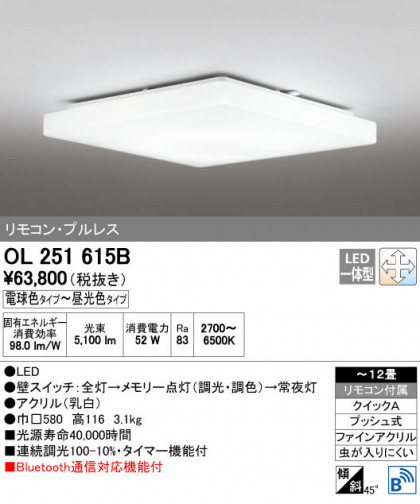 ODELIC ǥå 󥰥饤 OL251615B ñʲ