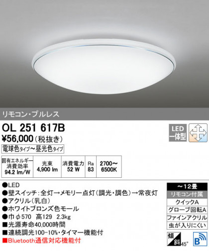 ODELIC ǥå 󥰥饤 OL251617B ñʲ