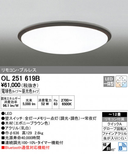 ODELIC ǥå 󥰥饤 OL251619B ñʲ