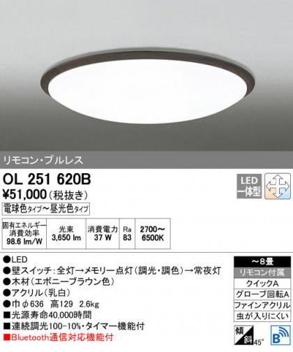 ODELIC ǥå 󥰥饤 OL251620B ñʲ