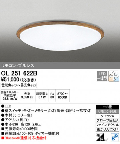 ODELIC ǥå 󥰥饤 OL251622B ñʲ