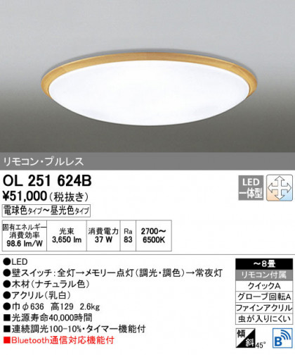 ODELIC ǥå 󥰥饤 OL251624B ñʲ