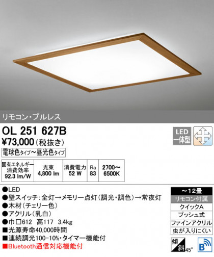 ODELIC ǥå 󥰥饤 OL251627B ñʲ