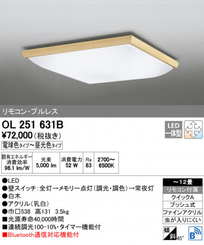 ODELIC ǥå 󥰥饤 OL251631B ñʲ