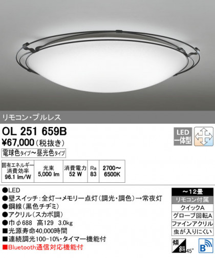 ODELIC ǥå 󥰥饤 OL251659B ñʲ