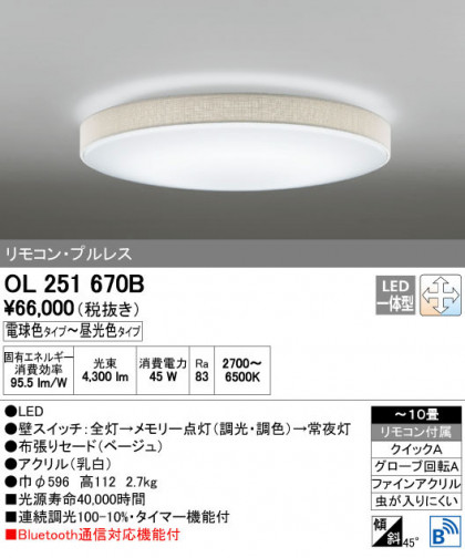 ODELIC ǥå 󥰥饤 OL251670B ñʲ