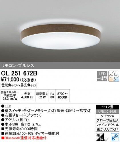 ODELIC ǥå 󥰥饤 OL251672B ñʲ