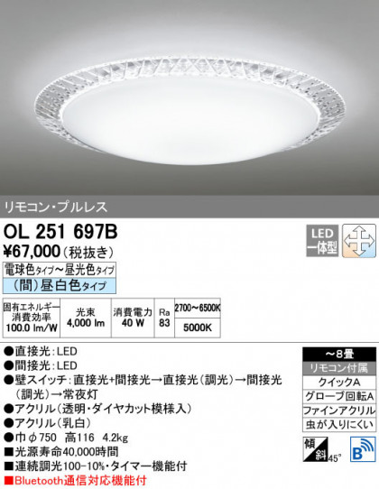ODELIC ǥå 󥰥饤 OL251697B ñʲ
