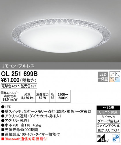ODELIC ǥå 󥰥饤 OL251699B ñʲ
